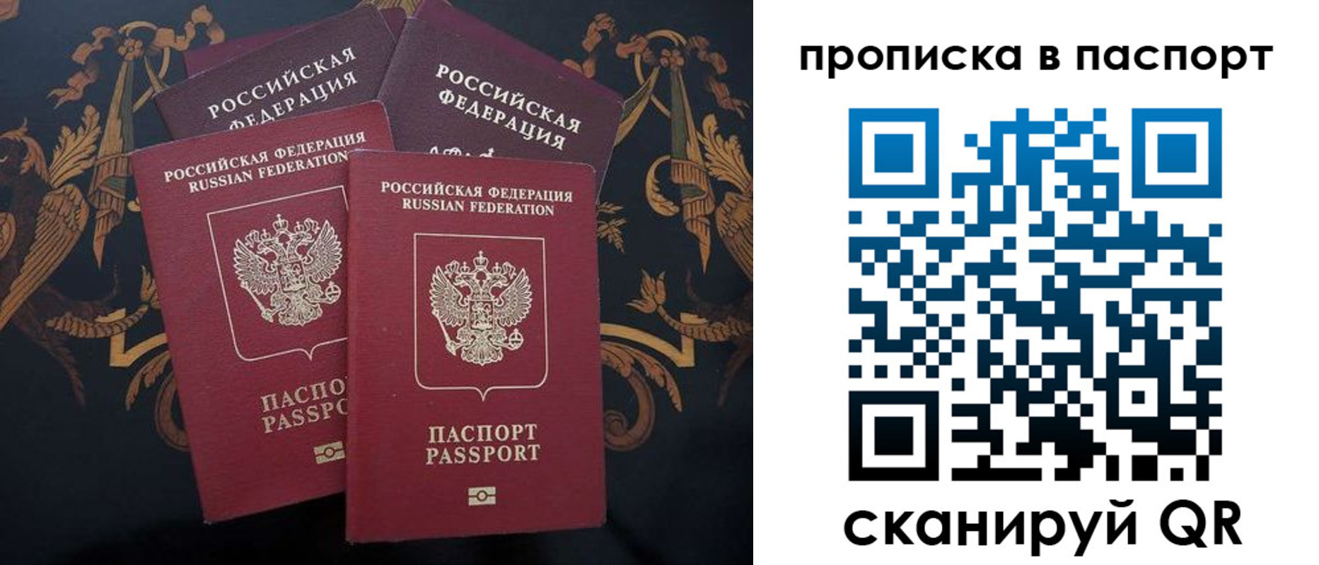 прописка паспорт в Мончегорске