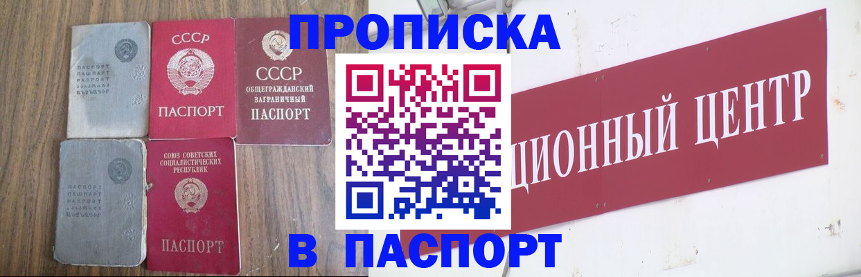 прописка иностранных граждан в Мончегорске